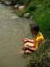 meditating in the river 3